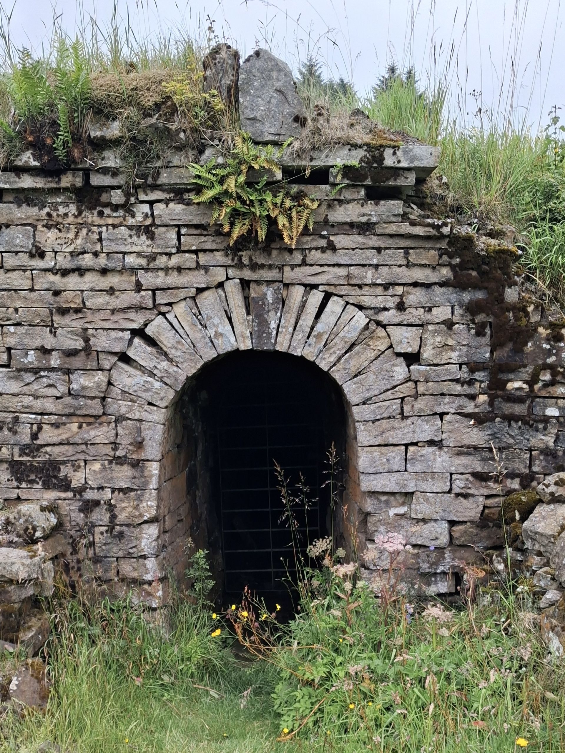 mine entrance on Isaac's Tea Trail